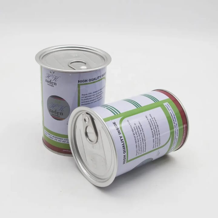 WhatsApp Image 2026-02-02 at 11.21.35 AM